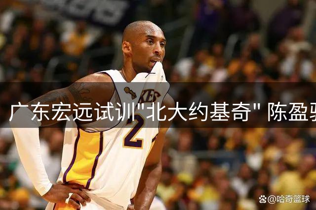 广东宏远试训"北大约基奇" 陈盈骏续约首钢几成定局