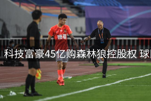 科技富豪45亿购森林狼控股权 球队估值三年翻倍