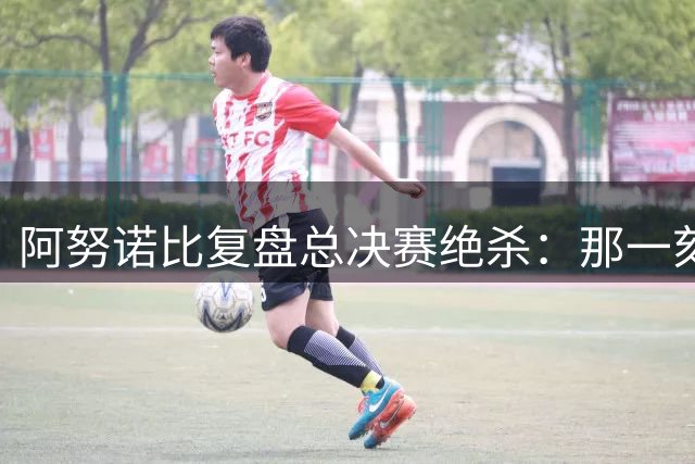 阿努诺比复盘总决赛绝杀：那一刻已成过去